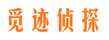 桦川市场调查